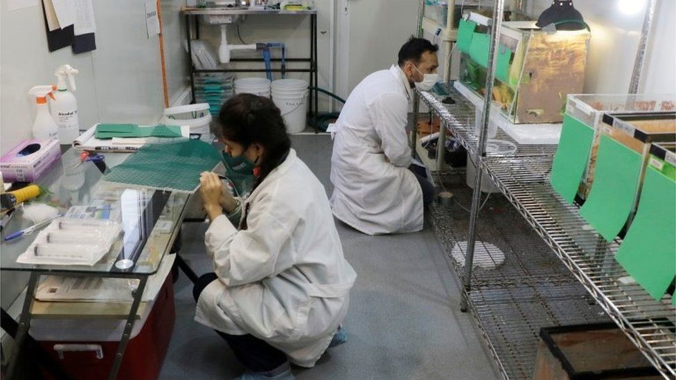 Scientists work inside the laboratory in Santiago, Chile, October 20, 2020