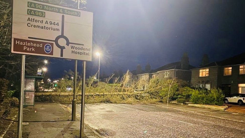 Tree down in Aberdeen