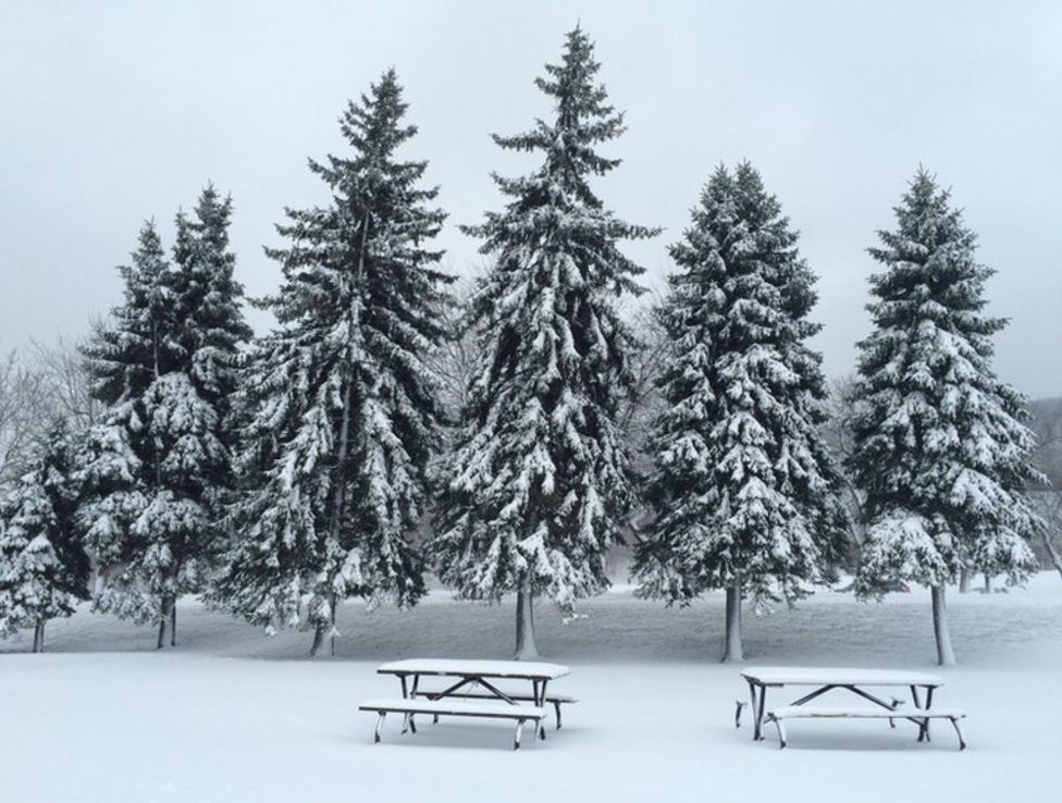 Your pictures: Cold weather - BBC News