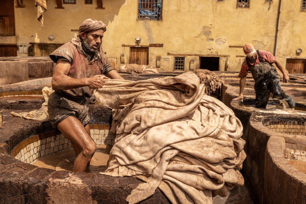 Men dunk animal skins into tannery pits.