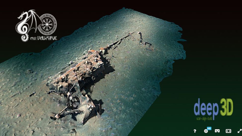 3D image of the sunken boat
