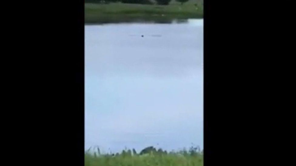 A still taken from a video showing a man in a Florida pond
