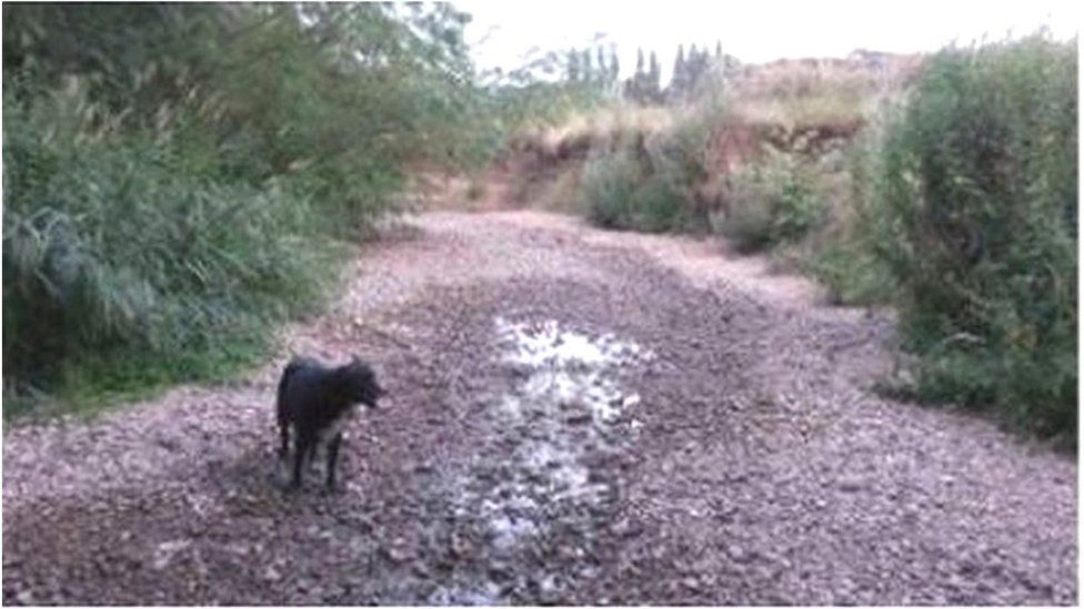 Environment Agency