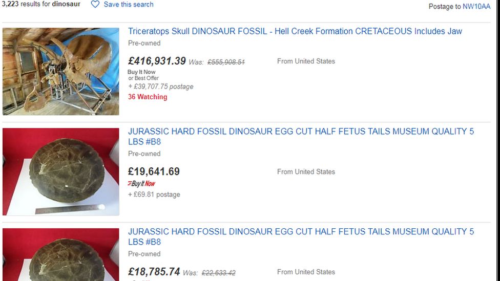 eBay Dinosaur fossil search