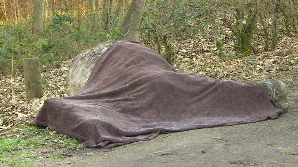 The Disturbing Truth About The Sedgwick County Horse Deaths - 680cdkr