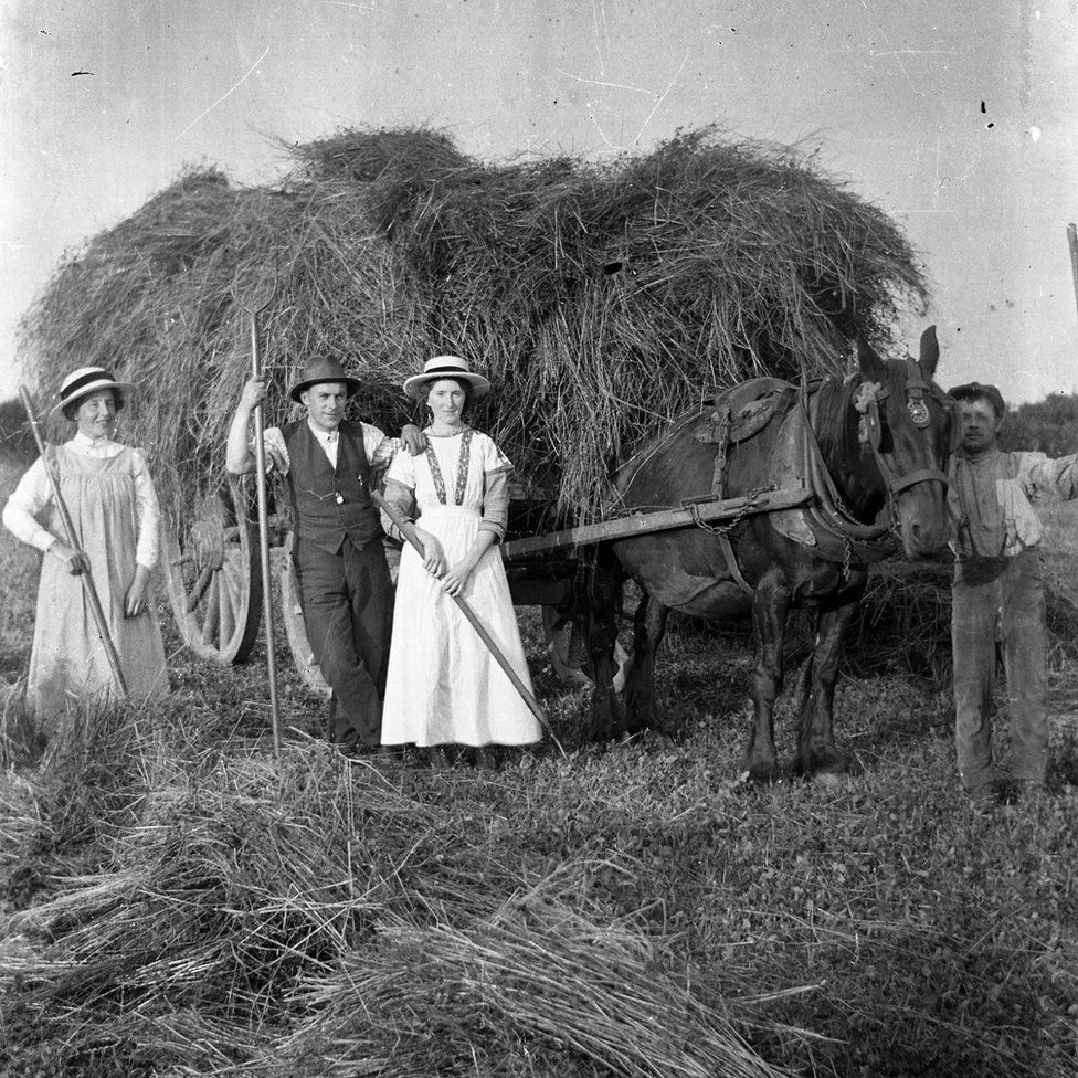 Men and woman working on a farm