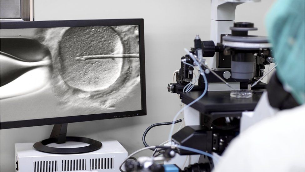 IVF being done on a microscope
