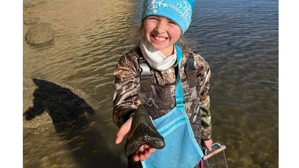 Girl, nine, finds megalodon shark tooth on Maryland beach