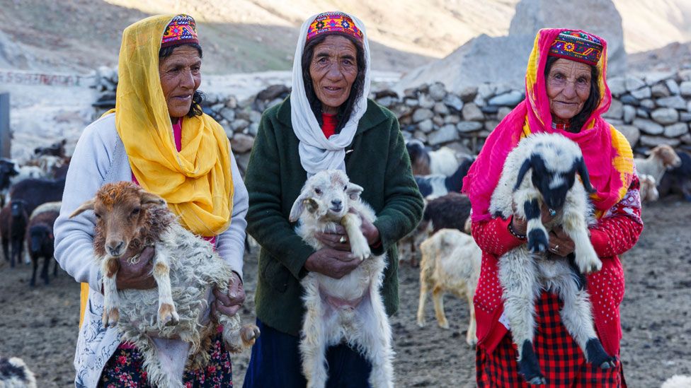 Three Wakhi shepherdesses, Sakina (left), Thai Bibi (centre) and Annar (right) holding young livestock