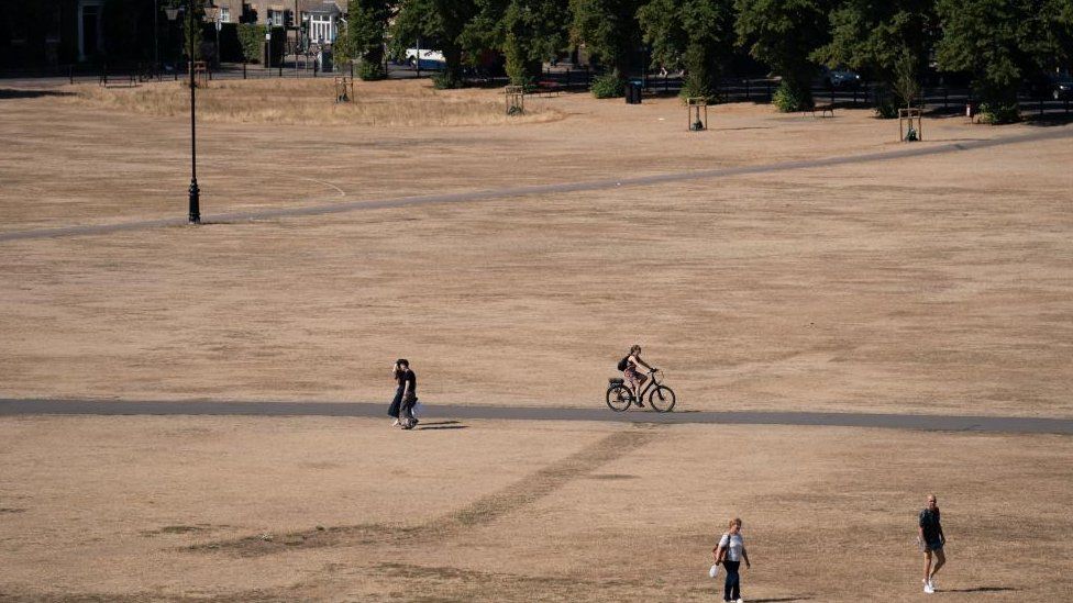 People walk across parched grass in Cambridge