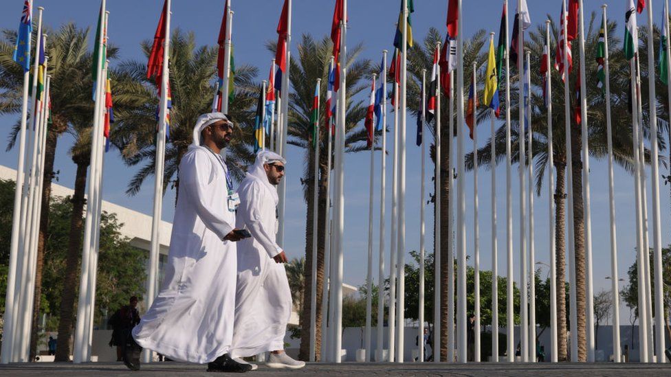 The UN climate talks COP28 are hosted by United Arab Emirates this year