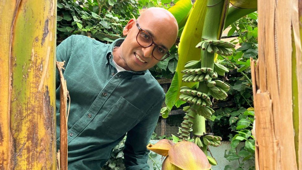 Ripon Ray stands next to his banana plant