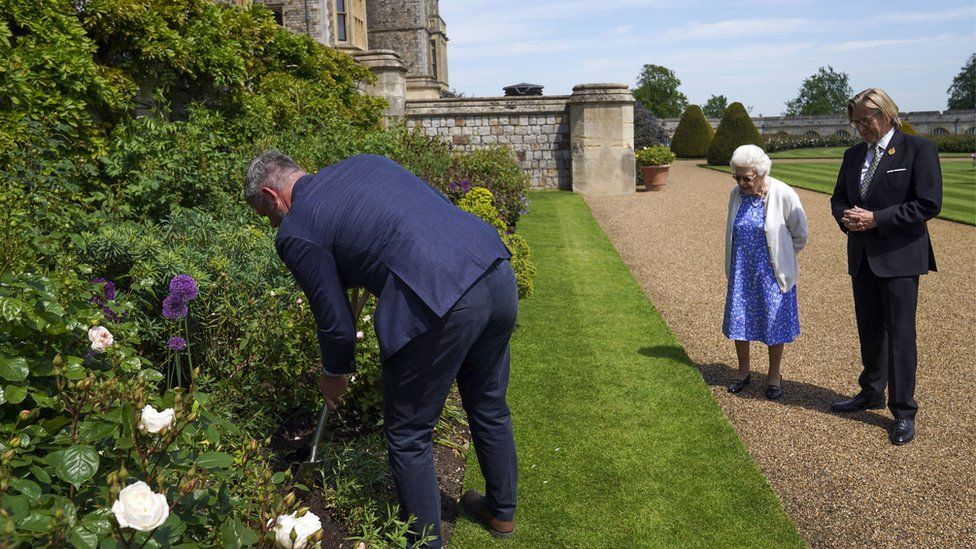 Queen Elizabeth II watches as Duke of Edinburgh rose is planted in a border in the gardens of Windsor Castle after it was given to her by Keith Weed, President of the Royal Horticultural Society.