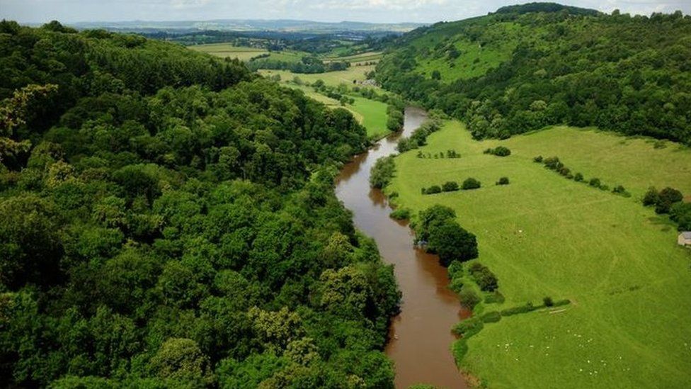 The River Wye seen from Symonds Yat Rock