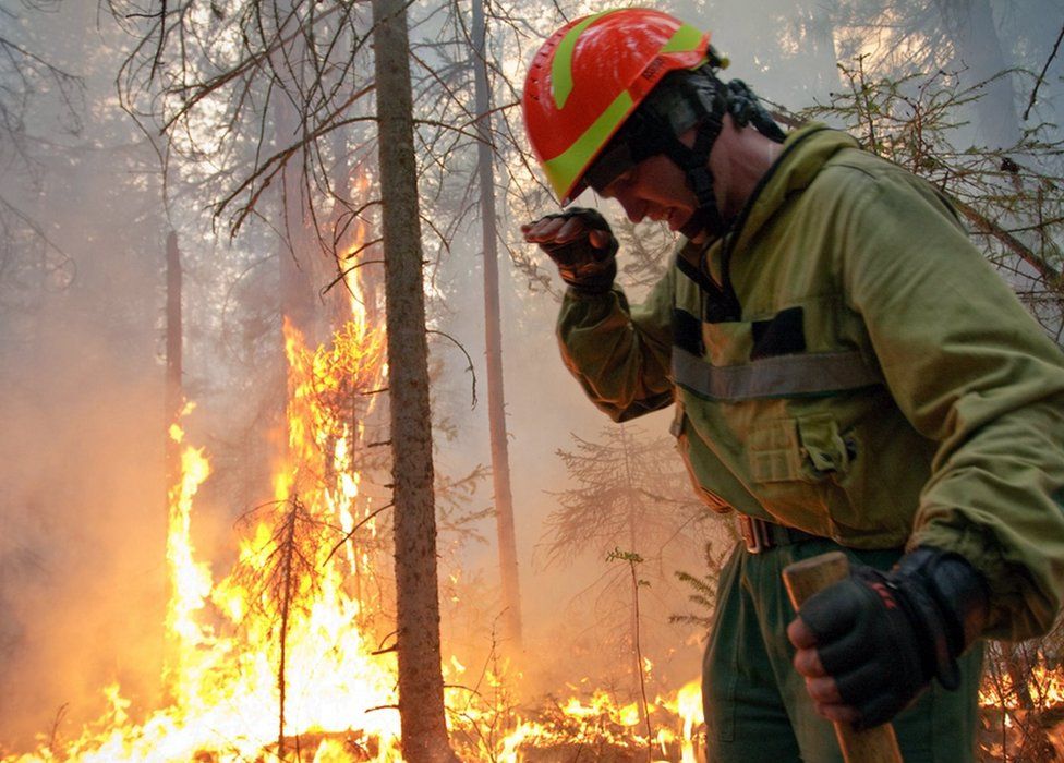 A Russian serviceman tackles wildfires in Krasnoyarsk region, Russia. Photo: 1 August 2019