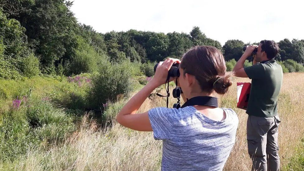 People using binoculars in field