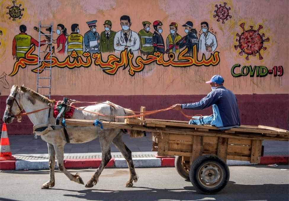 A man drives his horse-drawn cart past a mural thanking essential workers during pandemic, in the city of Salé.