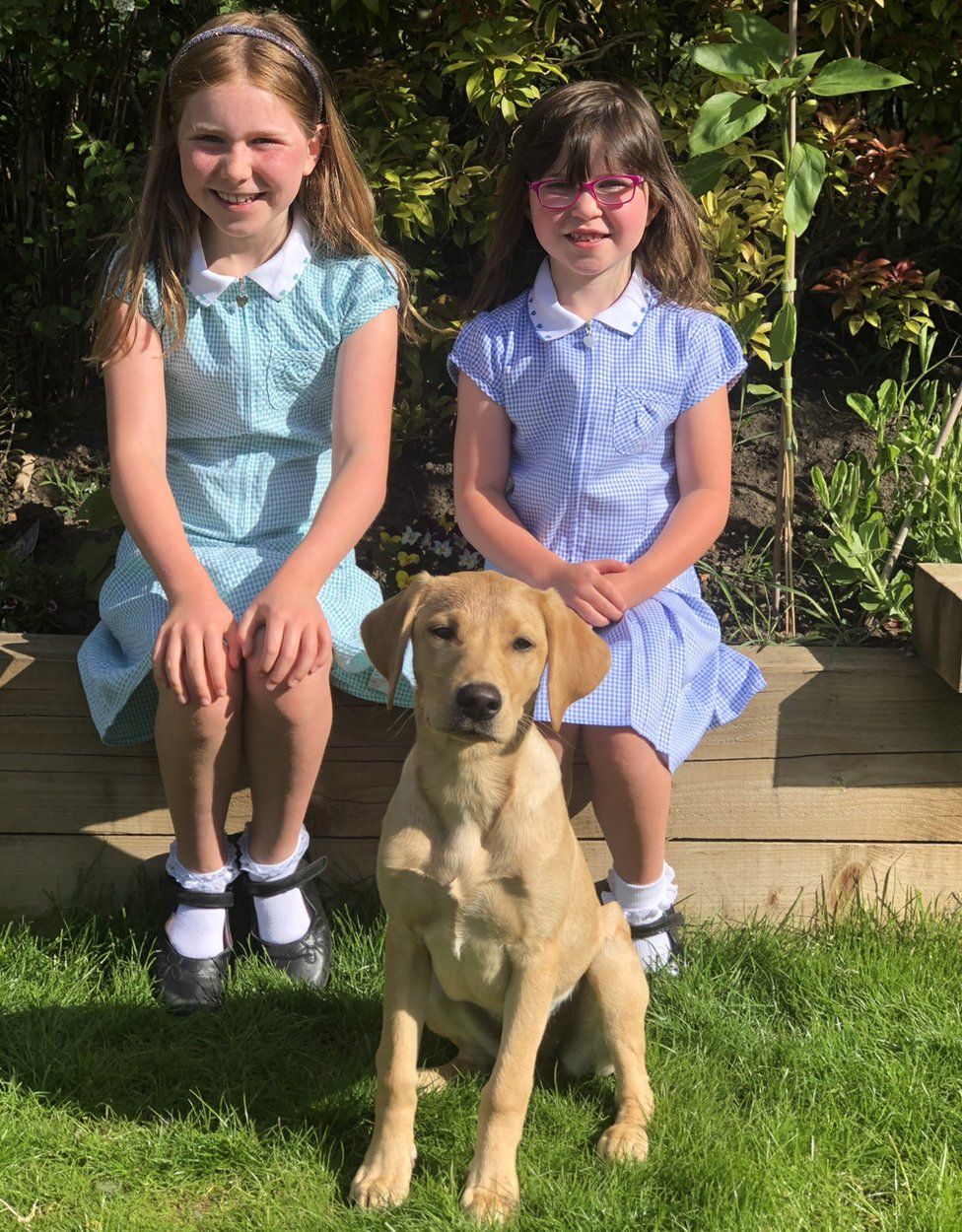 Abigail, age 8, and Emilia, age 6, with Pippa the puppy
