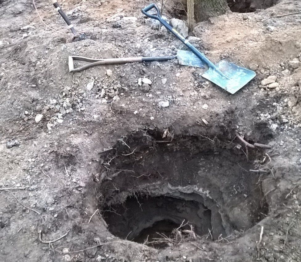 Badger sett with two spades lying by the side