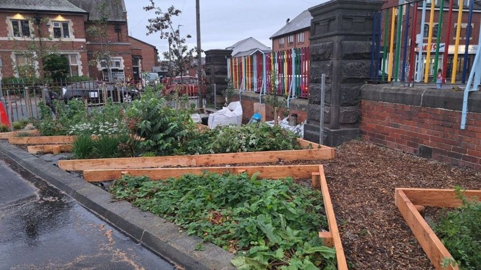 Royal Park gardens: Volunteer call at Hyde Park green space - BBC News