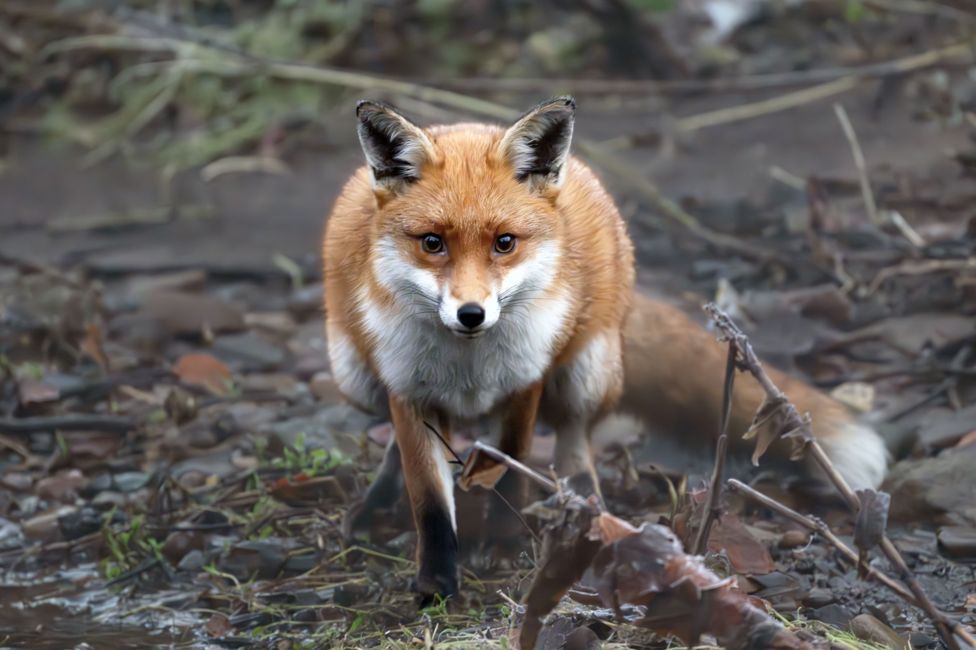 Your pictures of Scotland: Photographs from around the country - BBC News