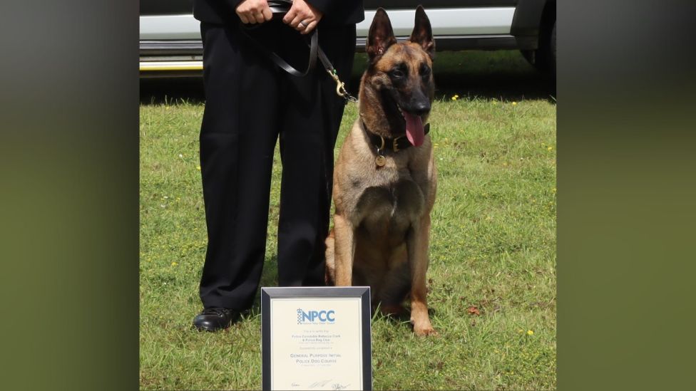 Cleo sitting on the grass with a certificate showing her graduation into the police force