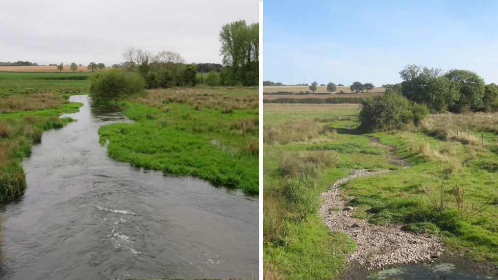 A comparison of the River Ver chalk stream in a normal year and in 2019 when it dried up