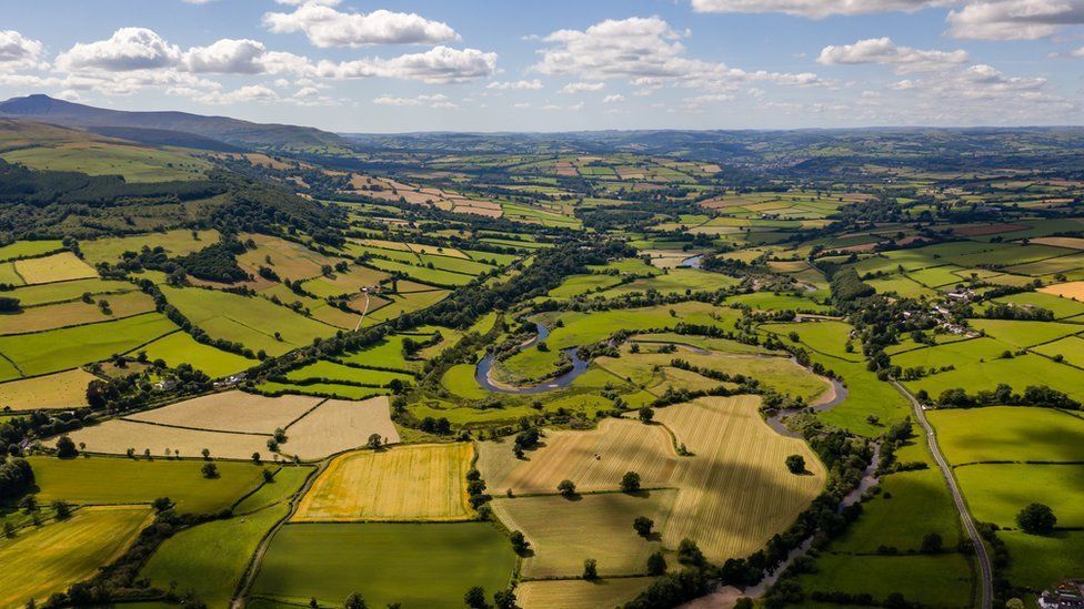 Fields in Wales