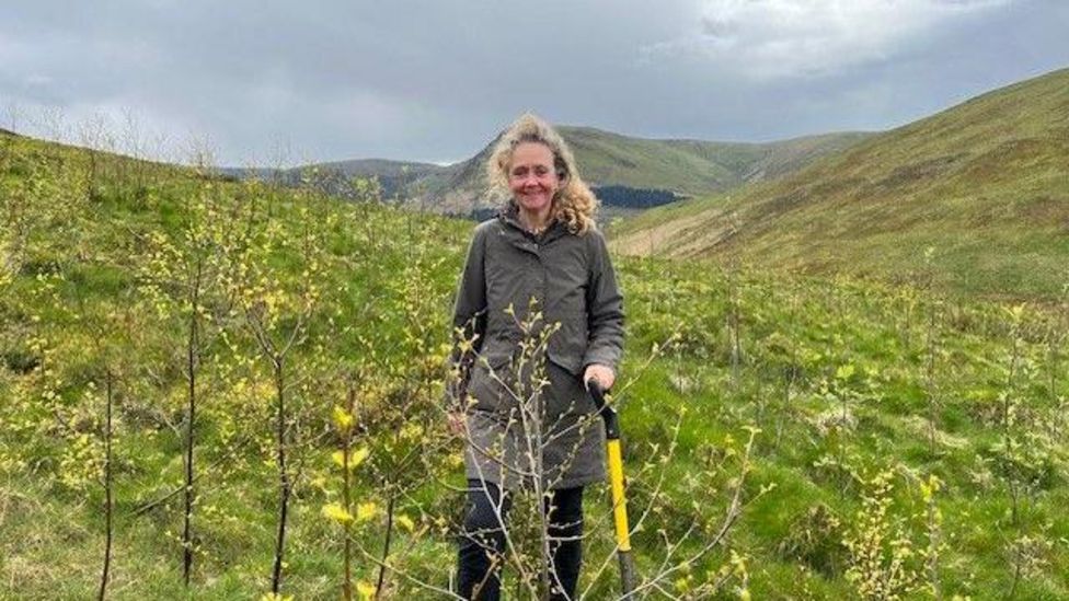 Woman plants thousands of trees after buying Lake District fell - BBC News