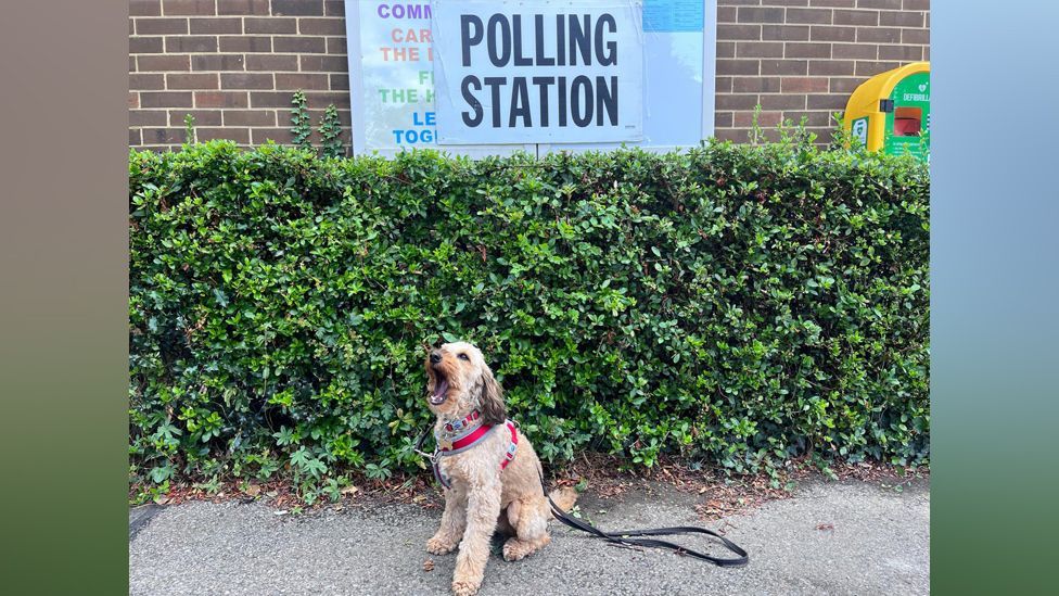 A dog pictured sat in front of a polling station sign appears to yawn, or bark
