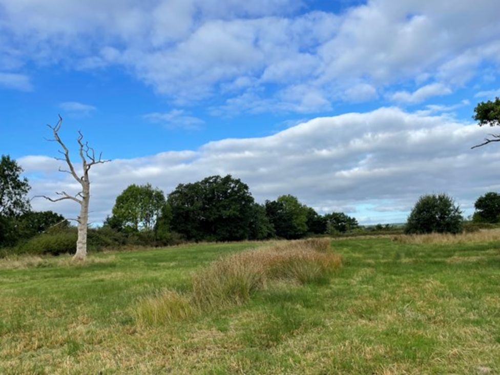 Farmland bought to form part of new regional park near Exeter BBC News