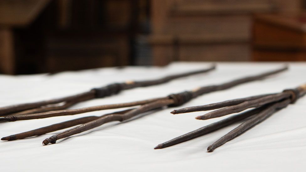 Three of the Gweagal spears lying on a white cloth over a table, Wren Library, Trinity College, Cambridge