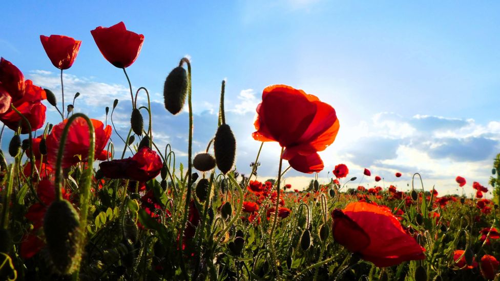 D-Day anniversary: your weather pictures - BBC Weather