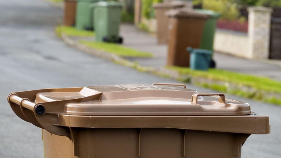 Hundreds sign petition to reverse stop to brown bin collection BBC News