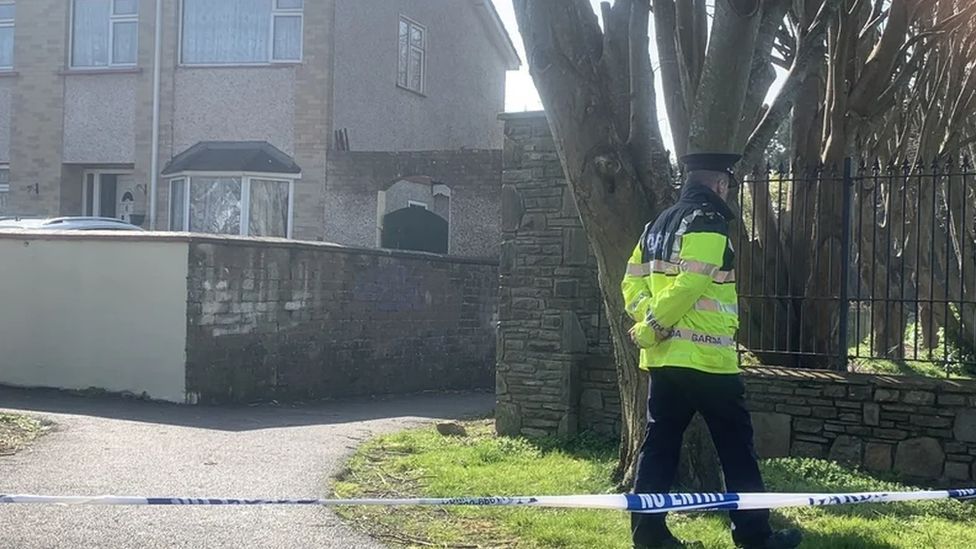 County Cork John Murphy charged with murdering brother BBC News