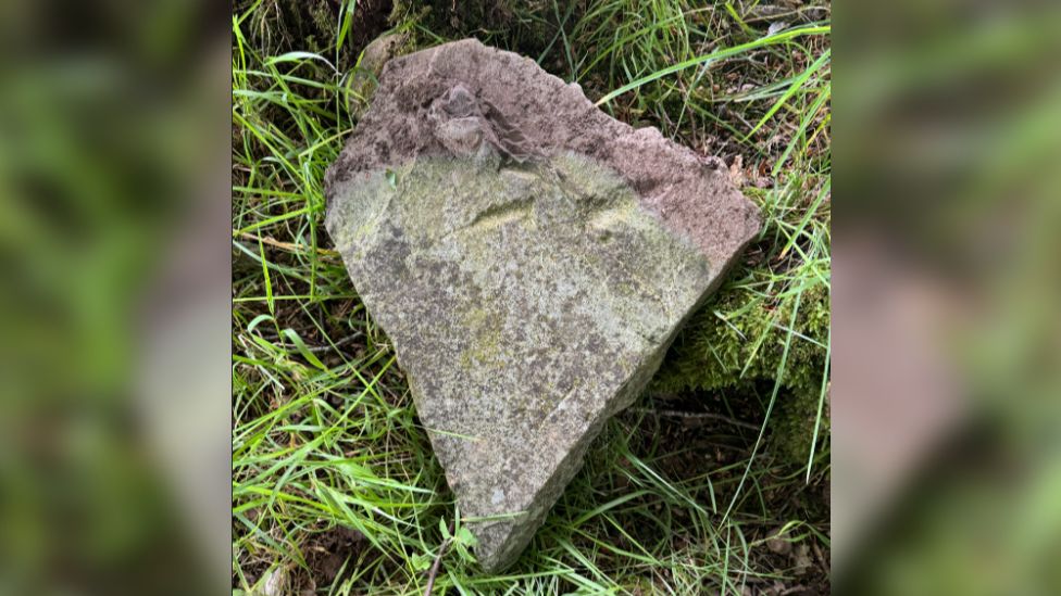 A traingular piece of grey tile propped up on a graddy verge