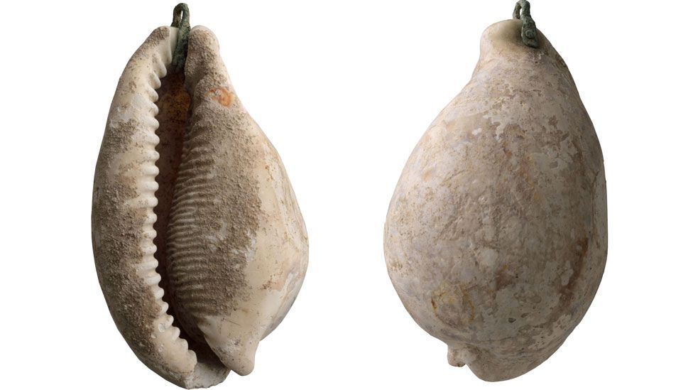 The front and back of a cowrie shell with a suspension loop at the top, discovered in an Anglo-Saxon cemetery, Cherry Hinton