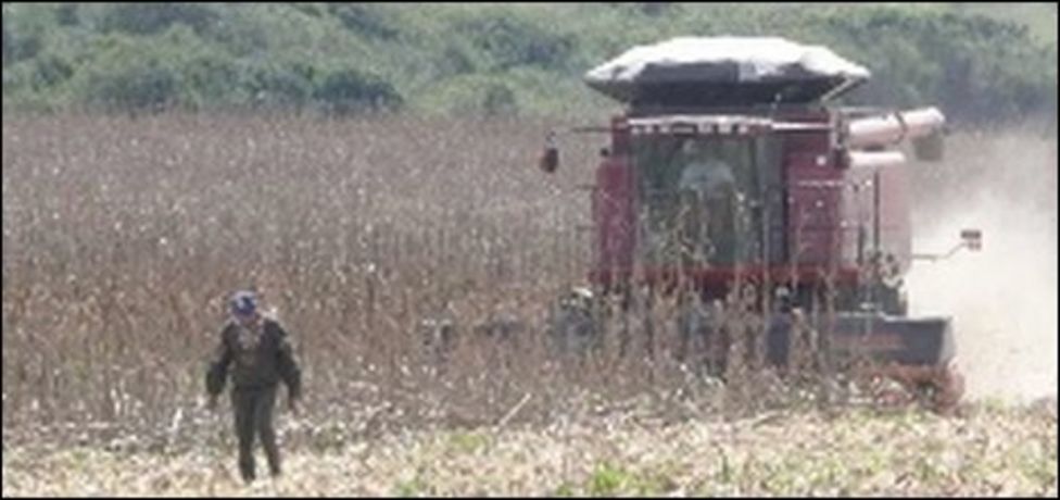 Brazil's Booming Agriculture Sector Eyes Global Markets - BBC News