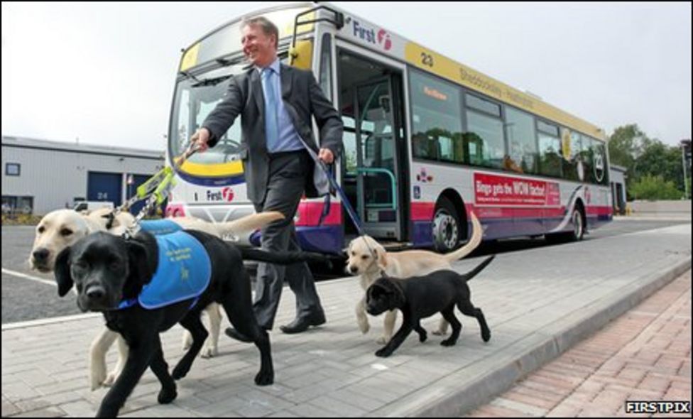 Sighted walkers of guide puppies get free bus passes - BBC News