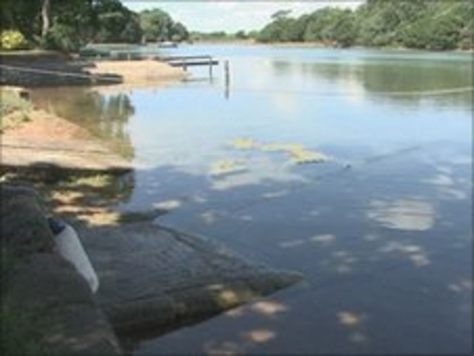 Body recovered from Hayling Island muddy creek BBC News