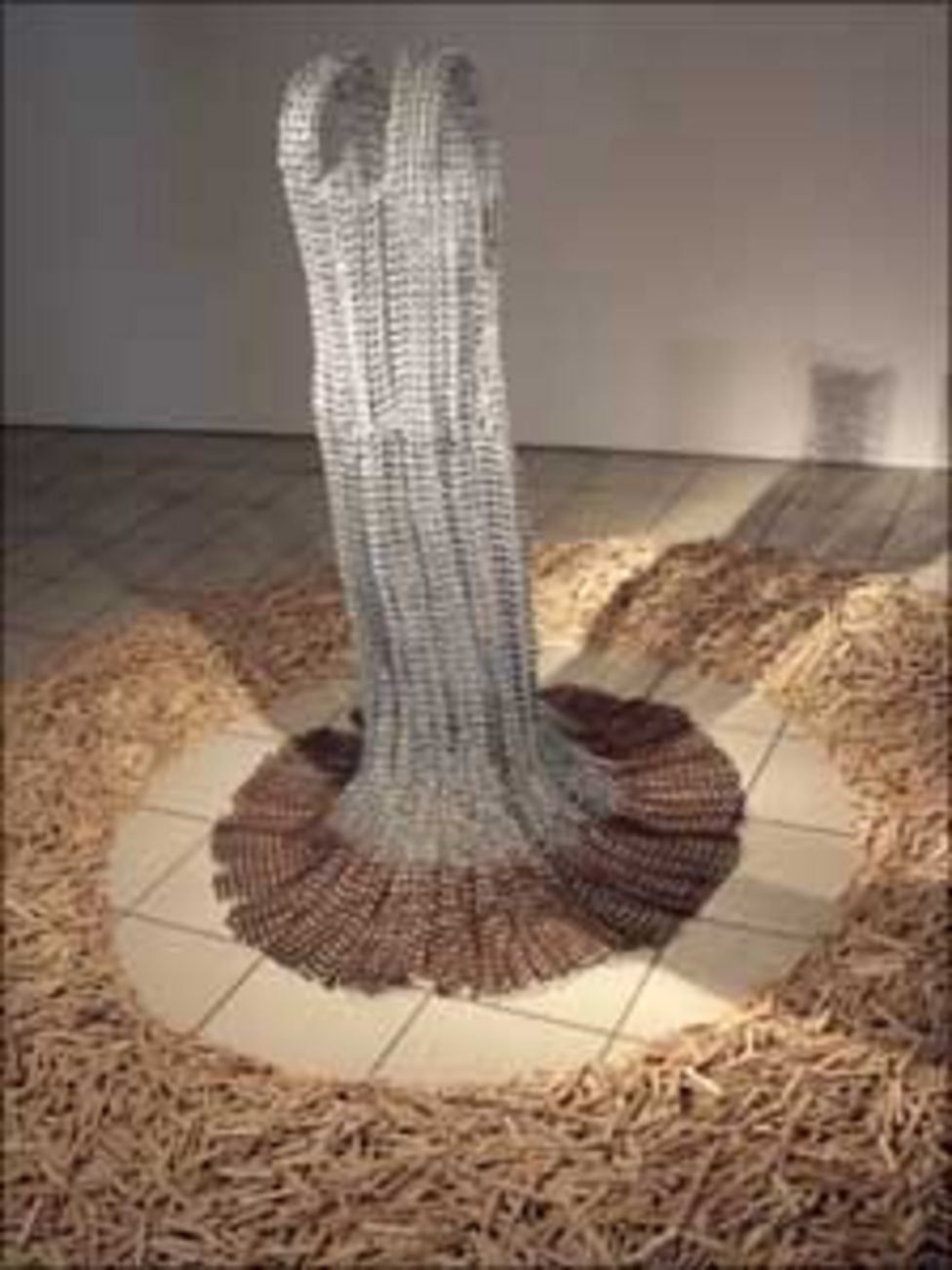 Show features clothes peg dress BBC News