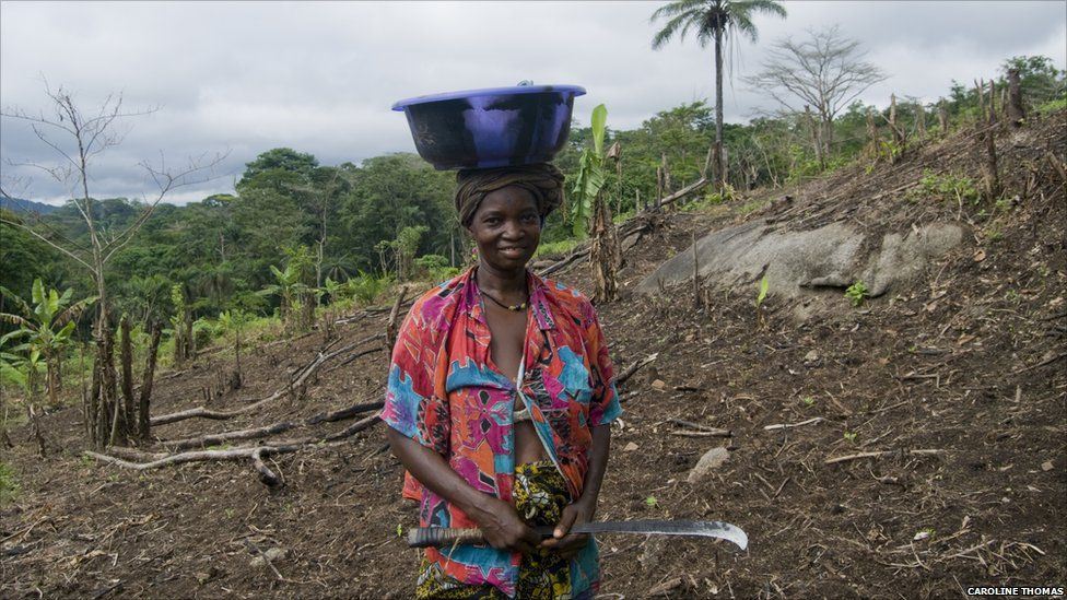 Woman working in a field near the village of Sengema