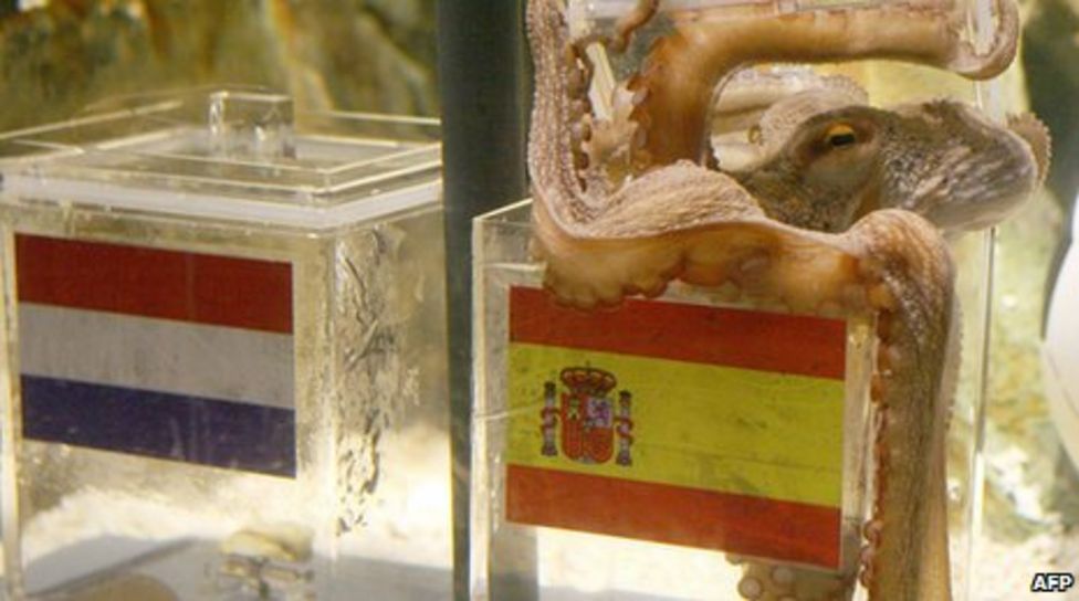 Paul the World Cup 'psychic octopus' dies BBC News