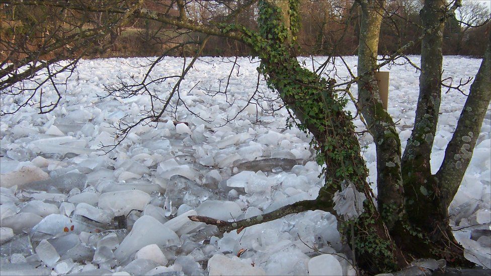 River Ayr
