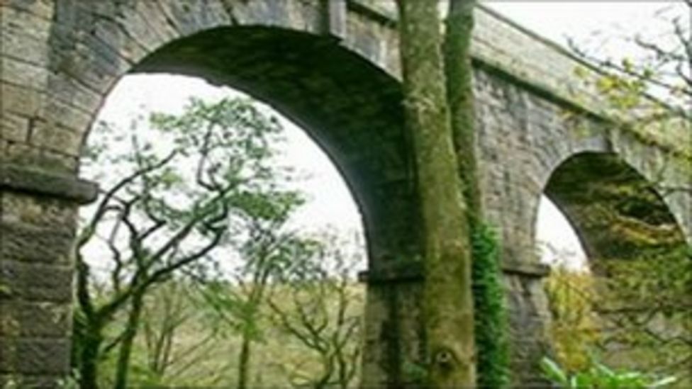 Survey closing Luxulyan Valley viaduct for two weeks - BBC News