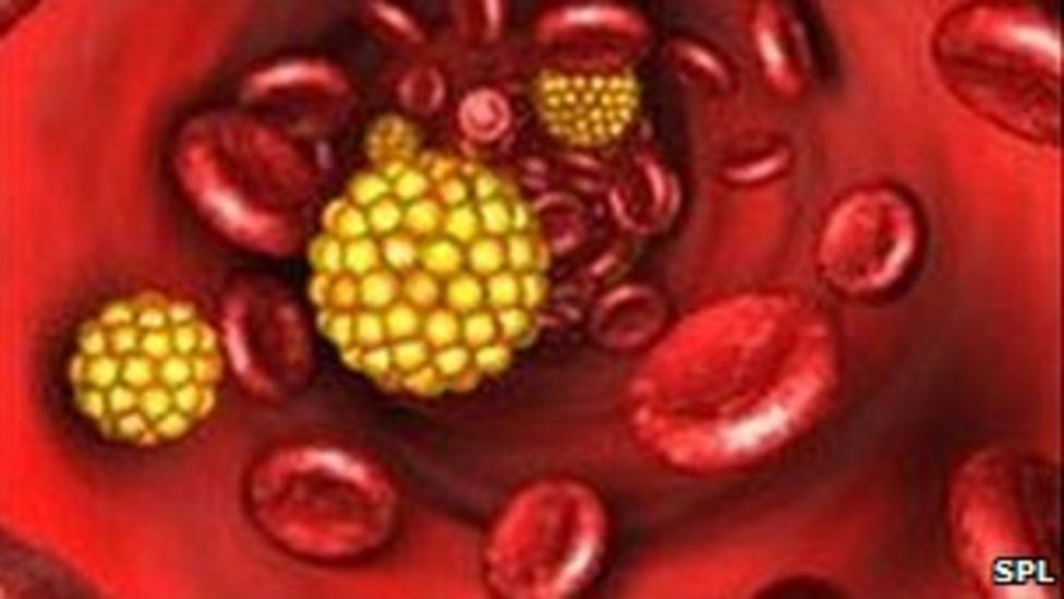 Edinburgh study finds cholesterol link to immune system BBC News