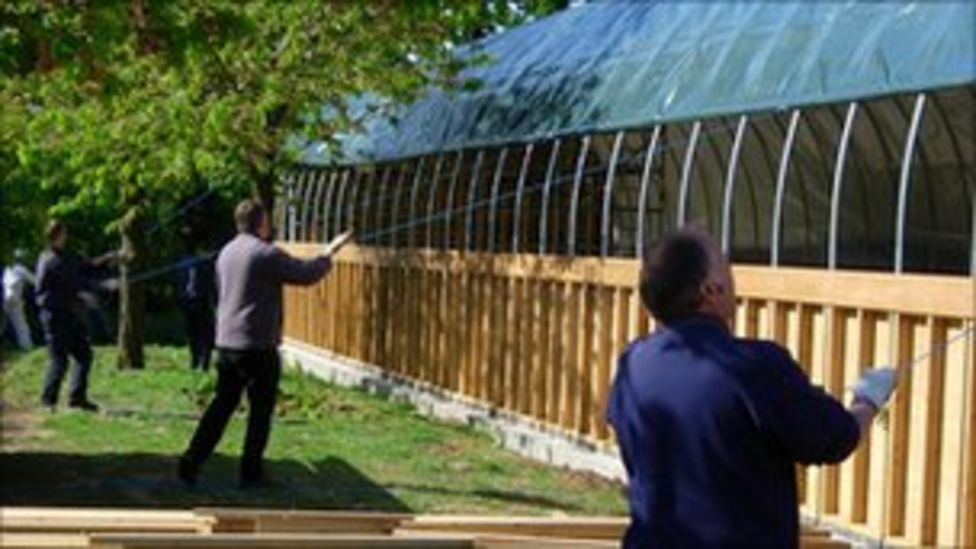 RSPCA bird of prey rescue aviary opens in Norfolk BBC News