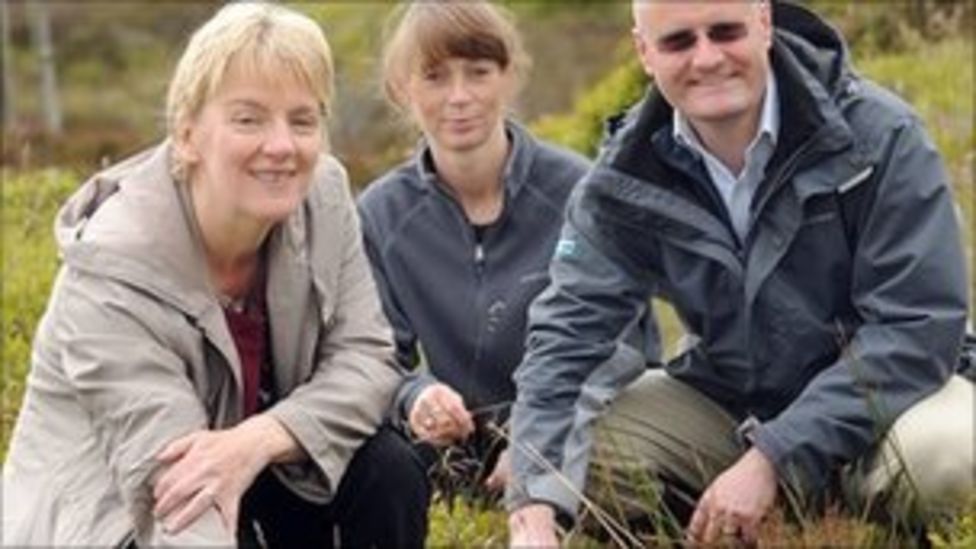 Yorkshire moorland restoration work 'world leading' - BBC News