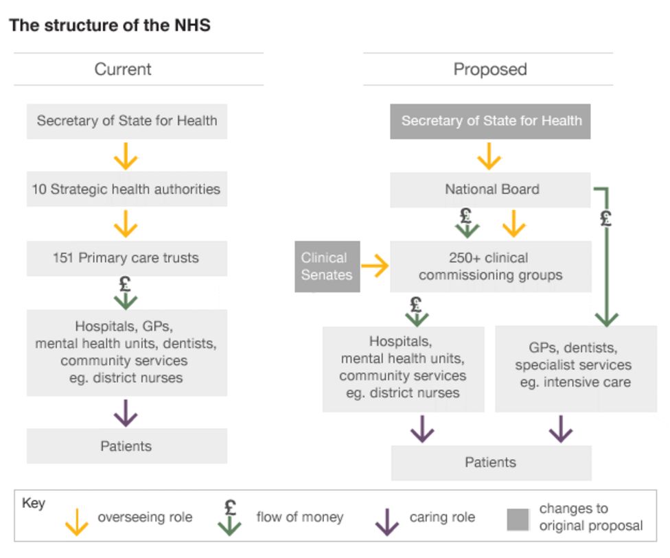 Stepbystep guide to NHS changes BBC News