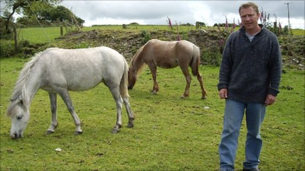 The horse whisperers of Argentina BBC News